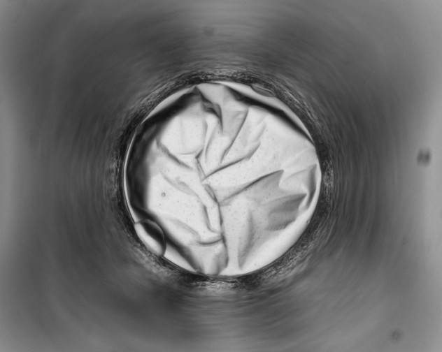 X0000099460462200806061133