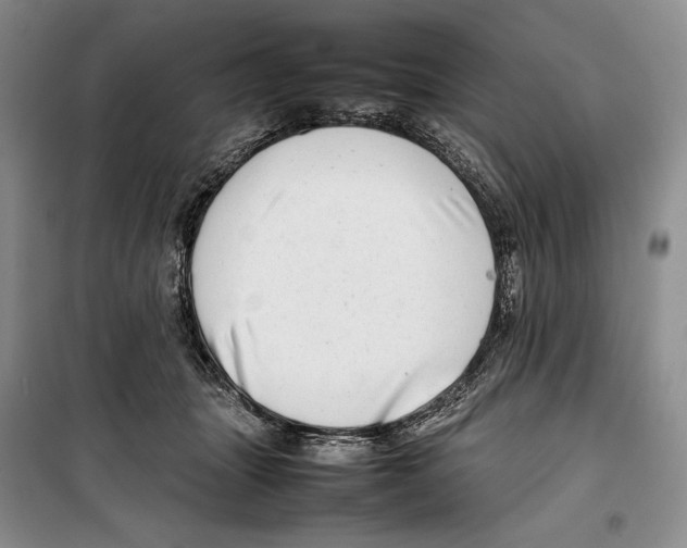 X0000099460463200806061133