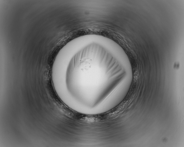 X0000099460464200806061133