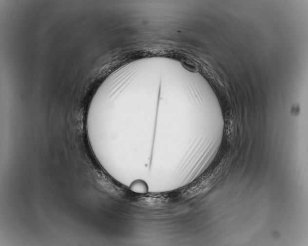 X0000099460466200806061133