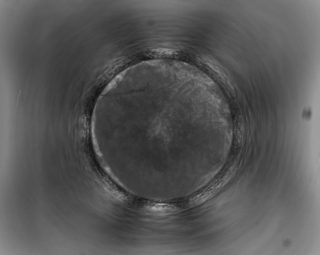 X0000099460467200806061133