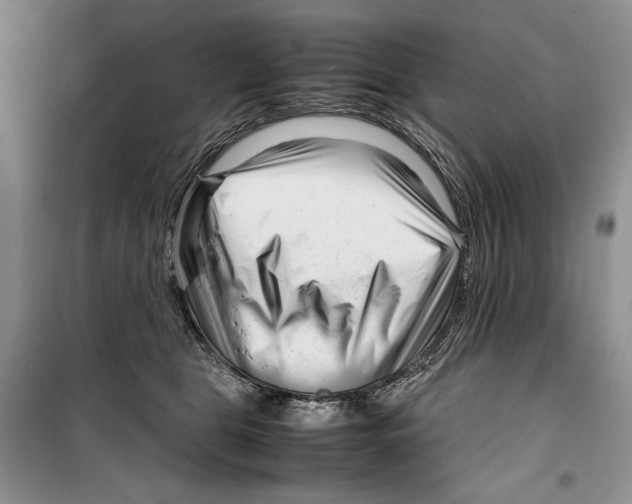 X0000099460469200806061133