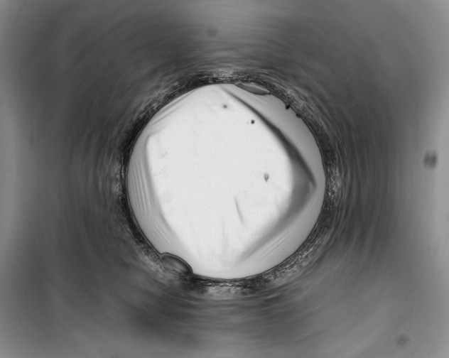 X0000099460470200806061133