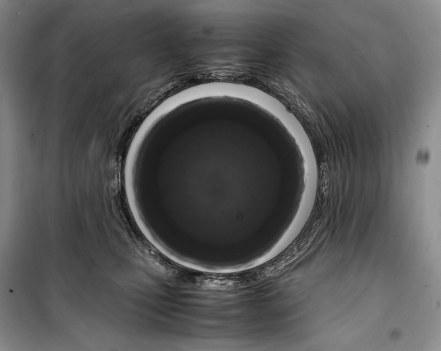 X0000099460471200806061133