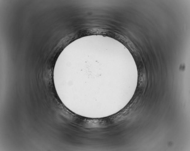 X0000099460473200806061133