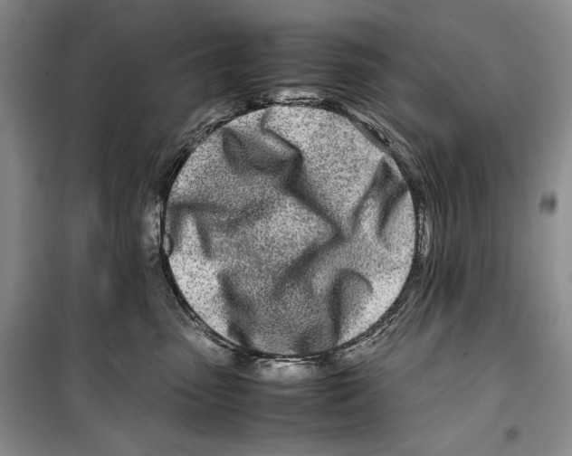 X0000099460475200806061133