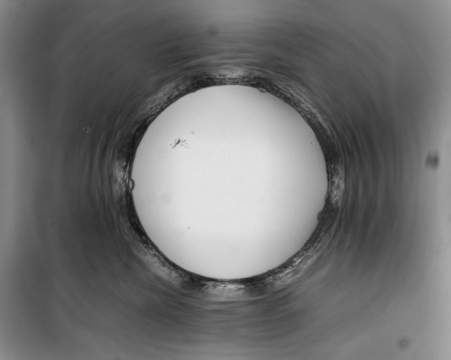 X0000099460476200806061133