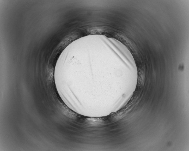 X0000099460477200806061133