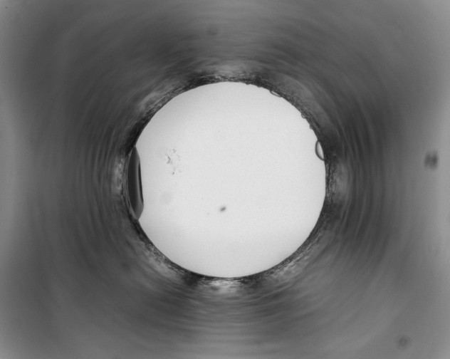 X0000099460478200806061133