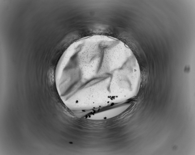 X0000099460479200806061133