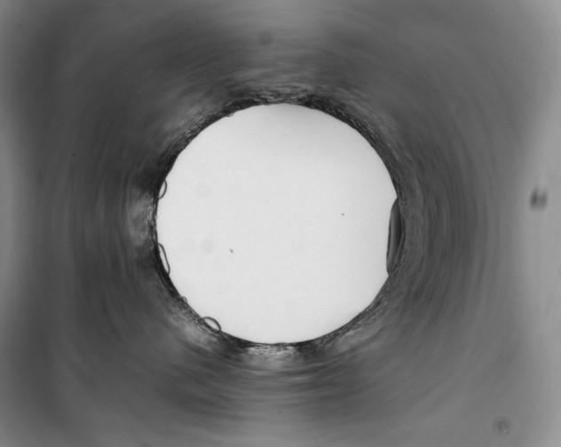 X0000099460480200806061133