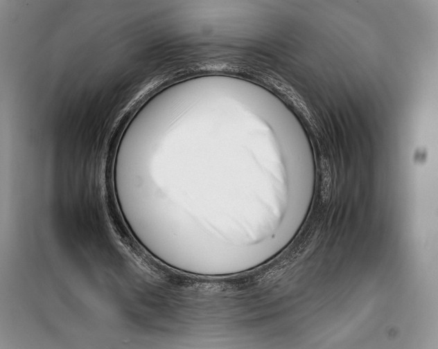 X0000099460482200806061132