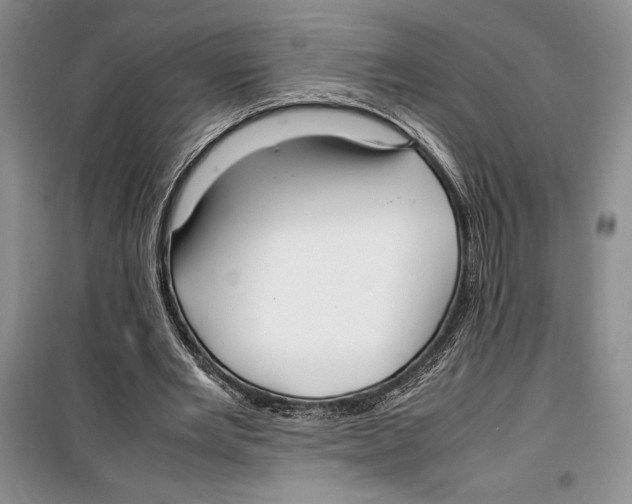 X0000099460485200806061132