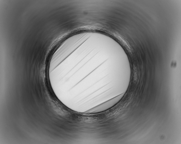 X0000099460486200806061132