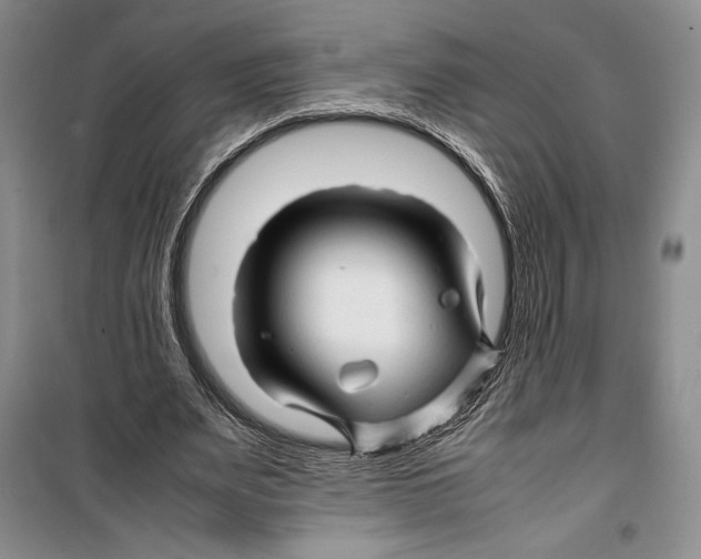 X0000099460487200806061132