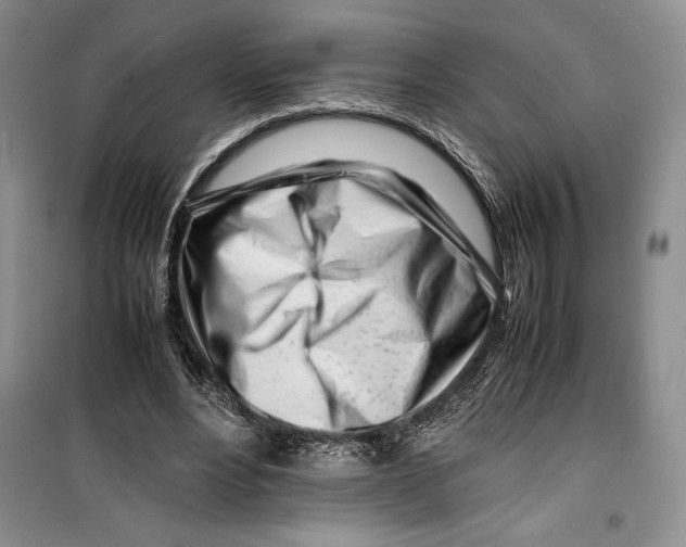 X0000099460488200806061132