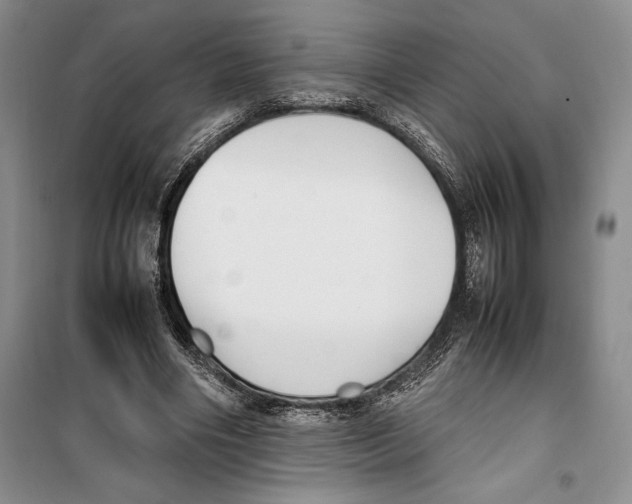 X0000099460490200806061132