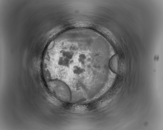 X0000099460491200806061132