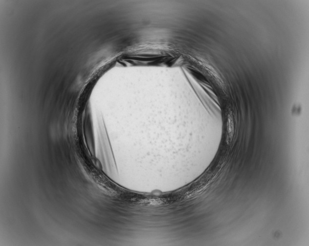 X0000099460492200806061132