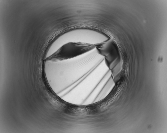 X0000099460493200806061132