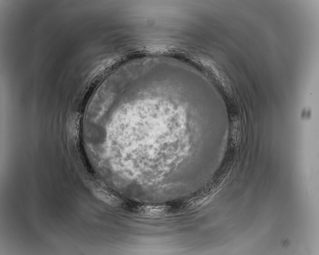 X0000099460495200806061132