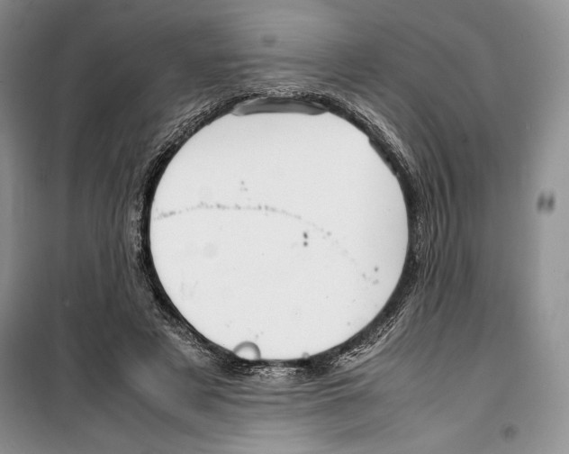 X0000099460497200806061132