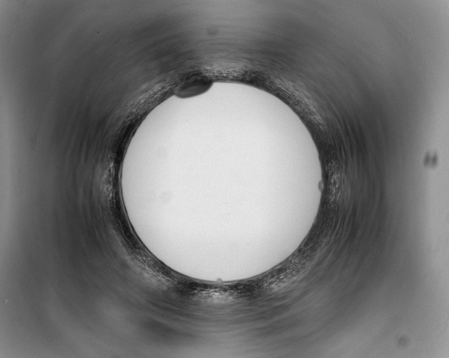 X0000099460498200806061132