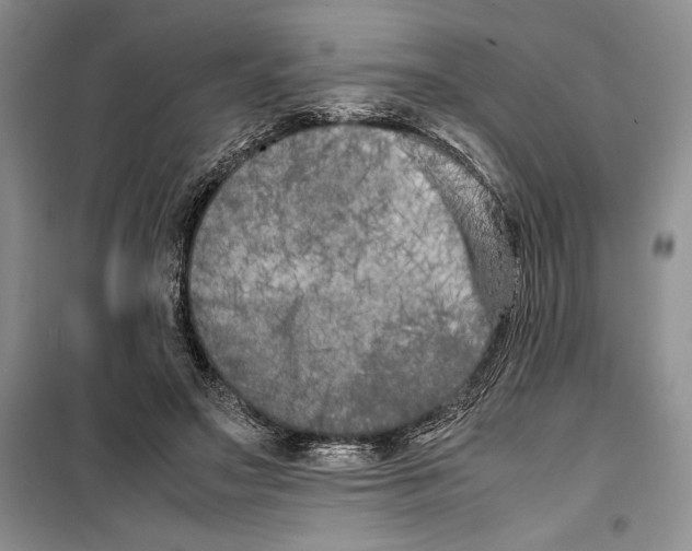 X0000099460499200806061132