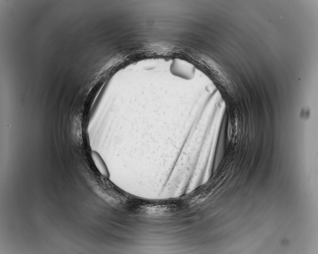 X0000099460500200806061132