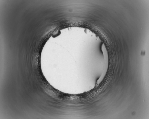 X0000099460501200806061132