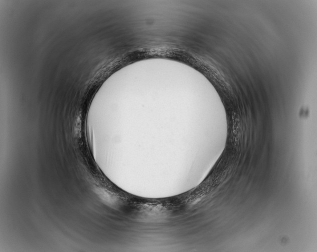 X0000099460502200806061132