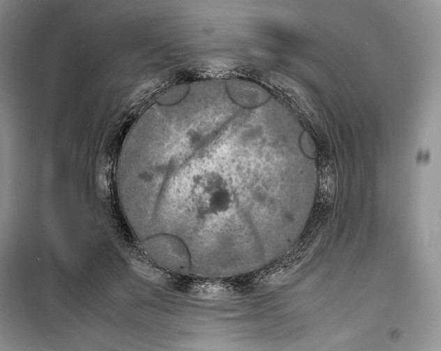 X0000099460503200806061132