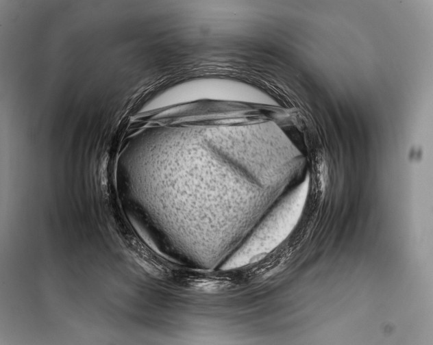 X0000099460504200806061132