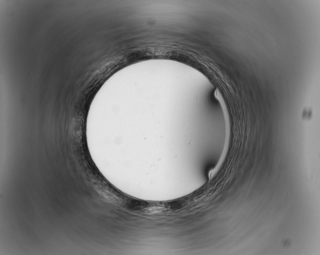 X0000099460505200806061132