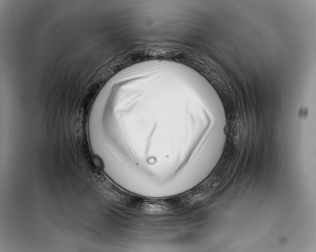 X0000099460510200806061132