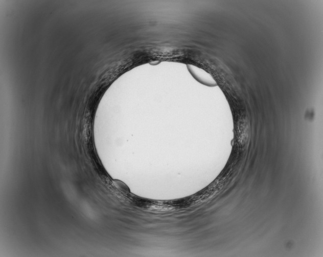 X0000099460515200806061132