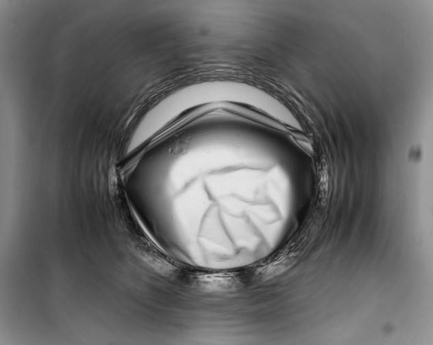 X0000099460516200806061132