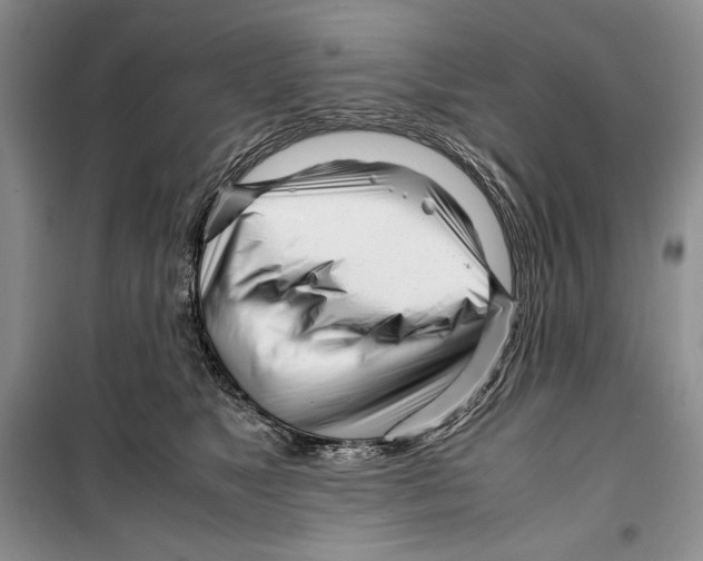 X0000099460517200806061132