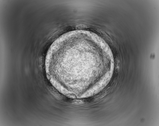 X0000099460519200806061132