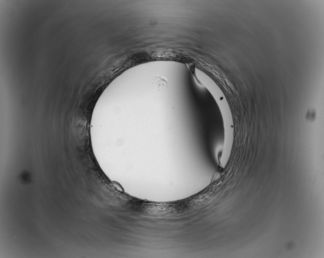 X0000099460521200806061132