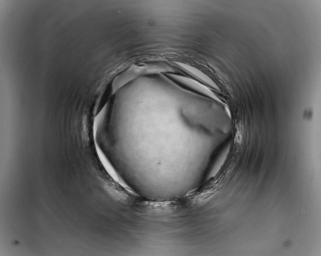 X0000099460524200806061132