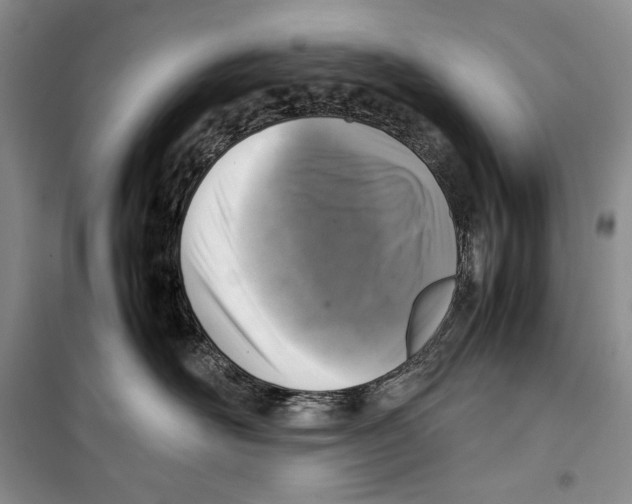 X0000099460526200806061132