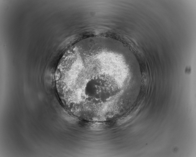 X0000099460527200806061132