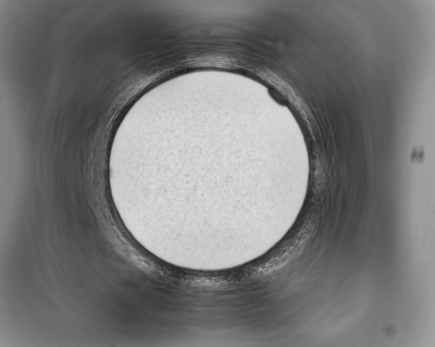 X0000099460529200806061131