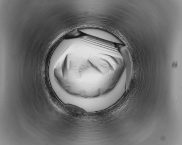 X0000099460530200806061131