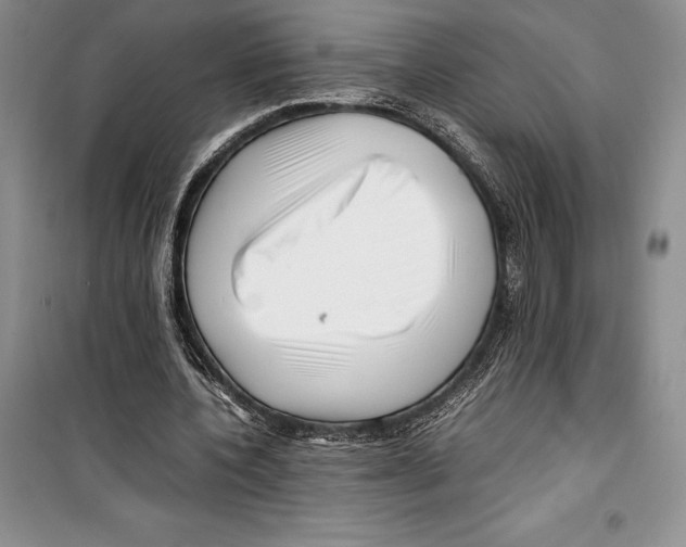 X0000099460532200806061131