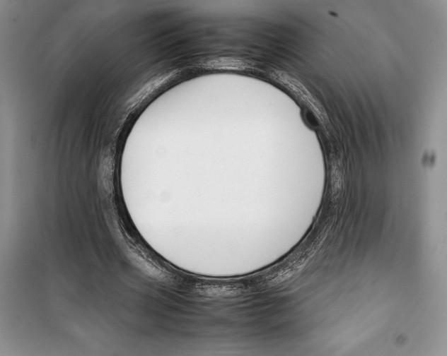 X0000099460533200806061131