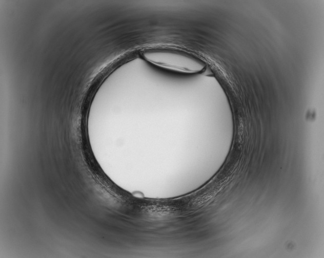 X0000099460535200806061131