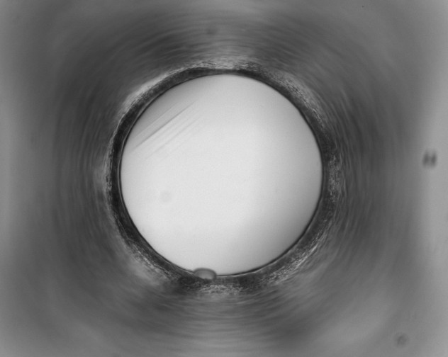 X0000099460536200806061131