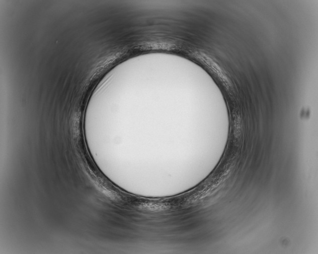 X0000099460537200806061131